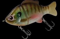 Biovex Joint Gill 70SS