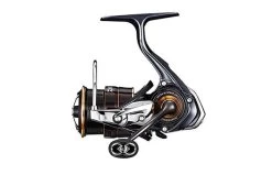 Daiwa ’19 Ballistic FW LT