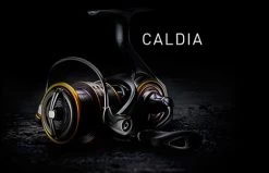 Daiwa ’21 Caldia LT