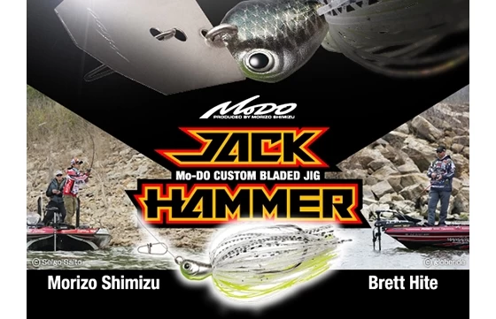 Evergreen Jack Hammer