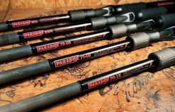 Studio Composite „Paradox“ 2023 LTD