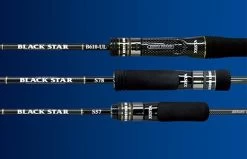 Xesta Black Star 2nd Generation