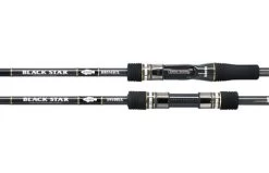 Xesta Black Star Hard