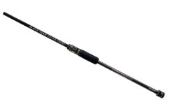 Xesta Black Star Extra Tuned