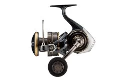 Daiwa ’22 Caldia SW