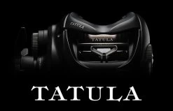 Daiwa ’24 Tatula TW 100 (right)