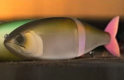 Swimbait Republic Glideway 176